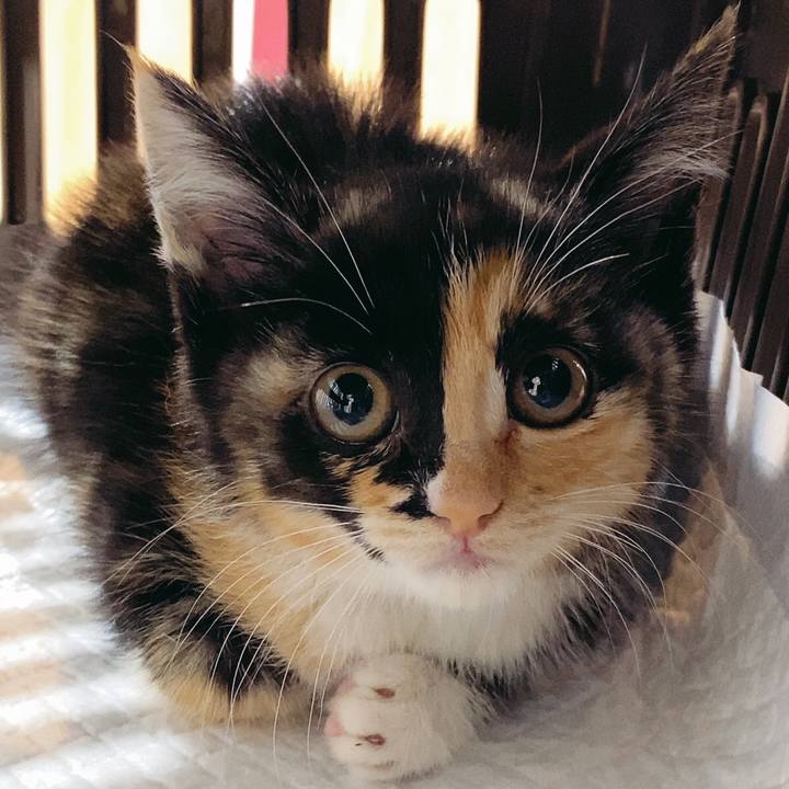 5429f920 7796 4afa ad0a 020a0f764e5e 1623835509344