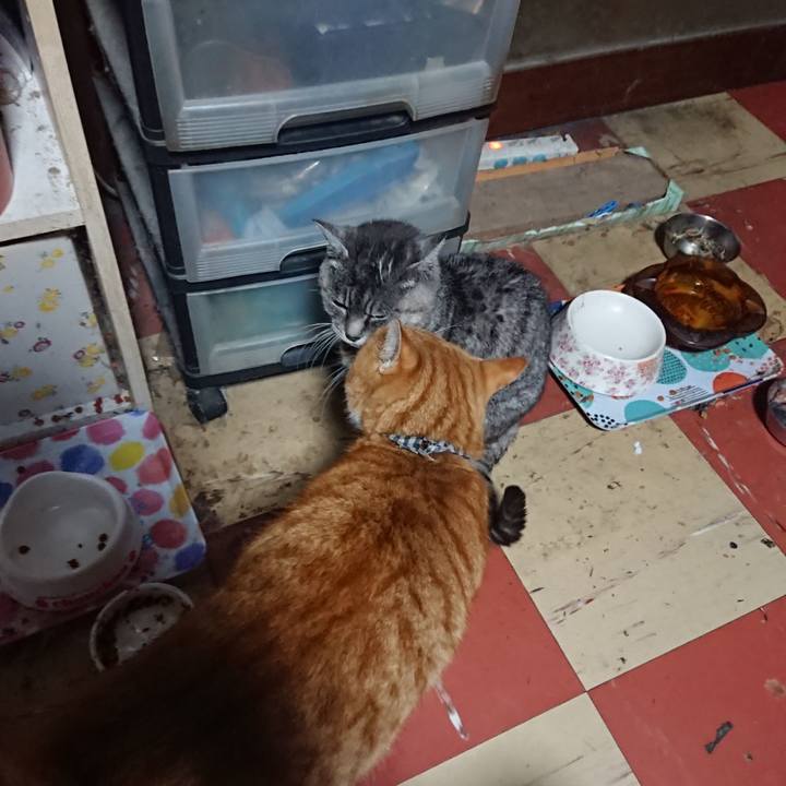 5429fb67 382e 41b8 8c45 a816a48c7fe5 1574625406522