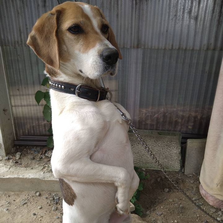 542a0902 358c 418b a5df 67c031b9a096 1653553804110