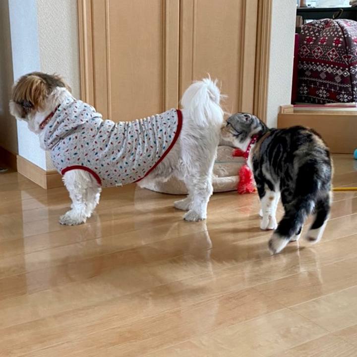 542a1ef1 5304 4fd6 ba2c d885408babb3 1601971335979