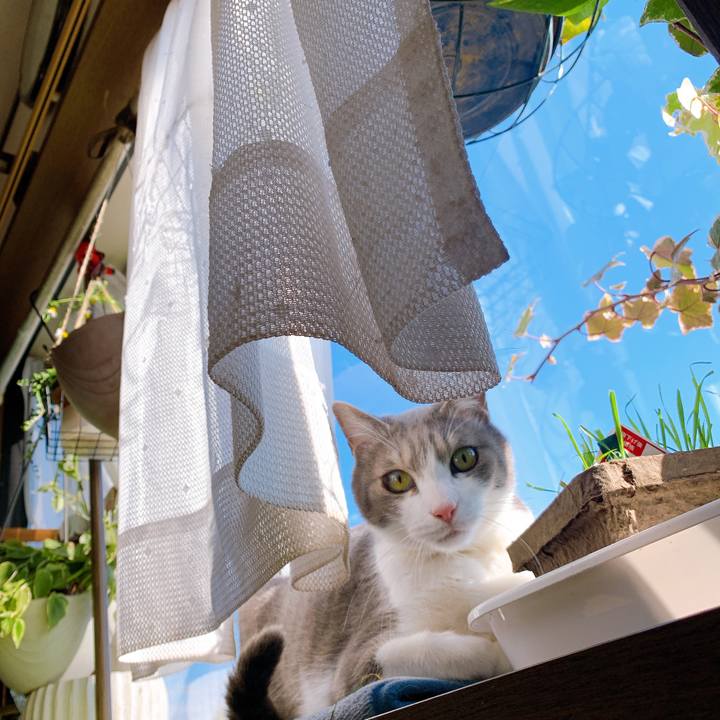 542a2986 bbc5 45a5 82a6 a54c9591d246 1646454071022