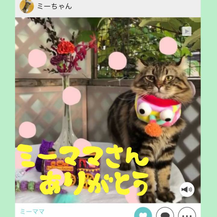 542a5d99 0644 4b0b 878e 96ecc6cc079f 1583660155466