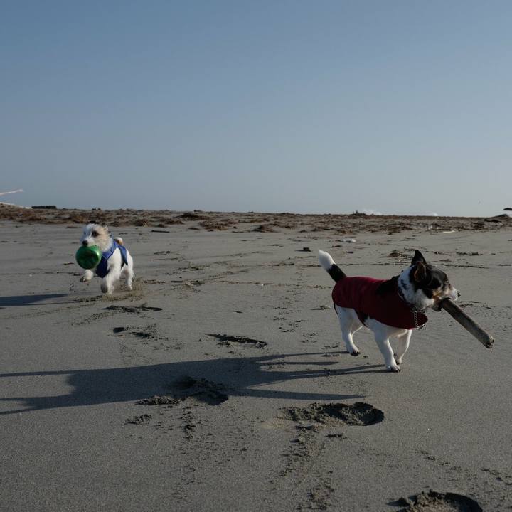 542a6e12 abbf 4888 99b9 ee97808e1b03 1520057616774