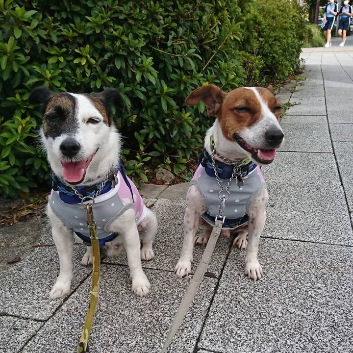 542aed33 3580 4d49 96e6 35d741922e54 1599692644237