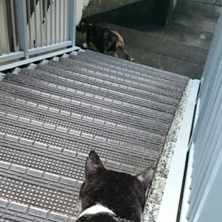 542b092e 4f64 451f 8013 8b7d4c04934c 1508989592263