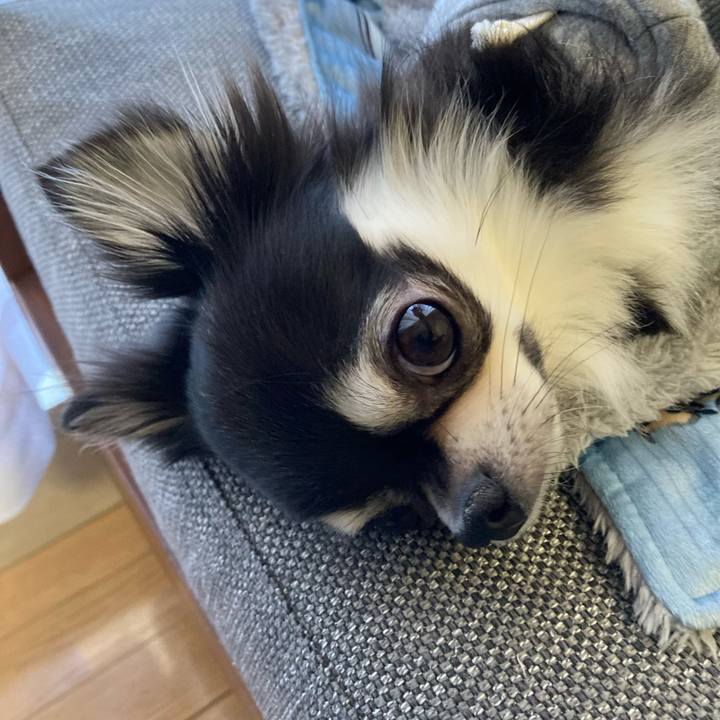 542b0985 9c98 44f7 b641 25b0b08a0a12 1640503358135