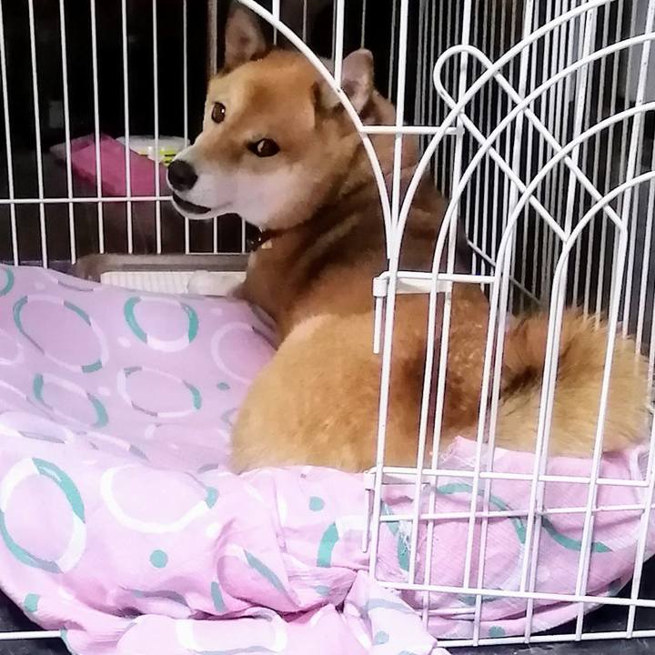 542b164c d2f0 4c3f 8664 ce900aa8220a 1597153549152