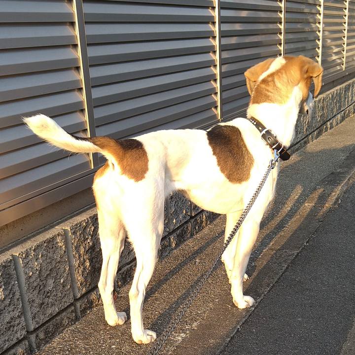 542b5393 a6bb 49b9 945c 7db8b6fb360c 1647075048161