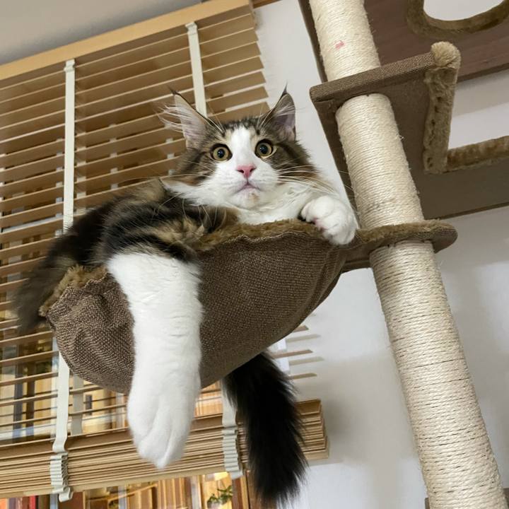 542b731d 0bea 42c1 8e94 1ae802fb8838 1636664366157