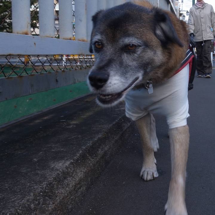 542b9573 7764 484b a085 93ab1e7f9e9f 1594803086431