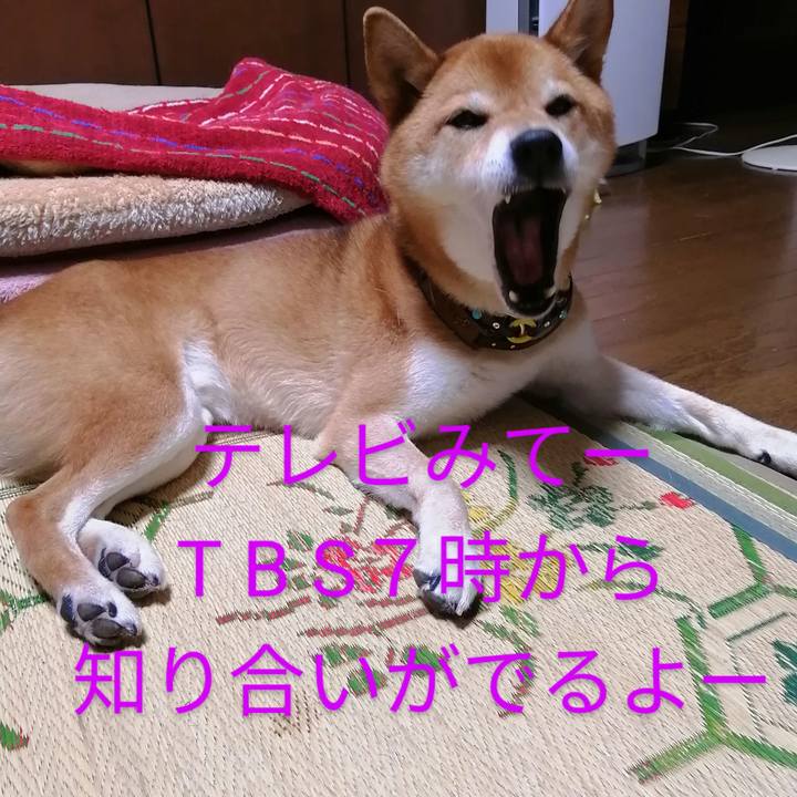 542ba7a3 f01e 450f 8e33 259a0d8276b4 1627554720557