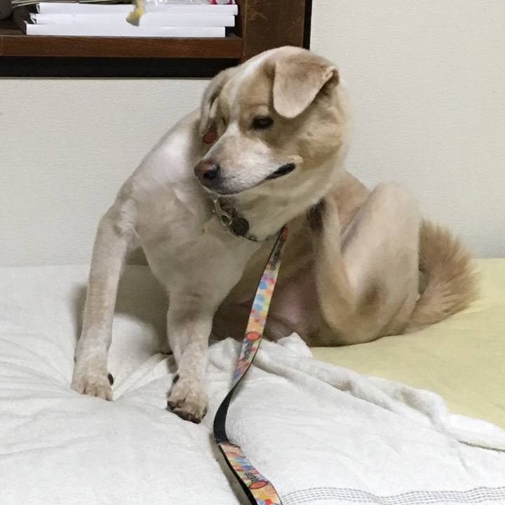 542bd0d0 1a7b 4208 a6f0 3567d8dc3460 1540392054984