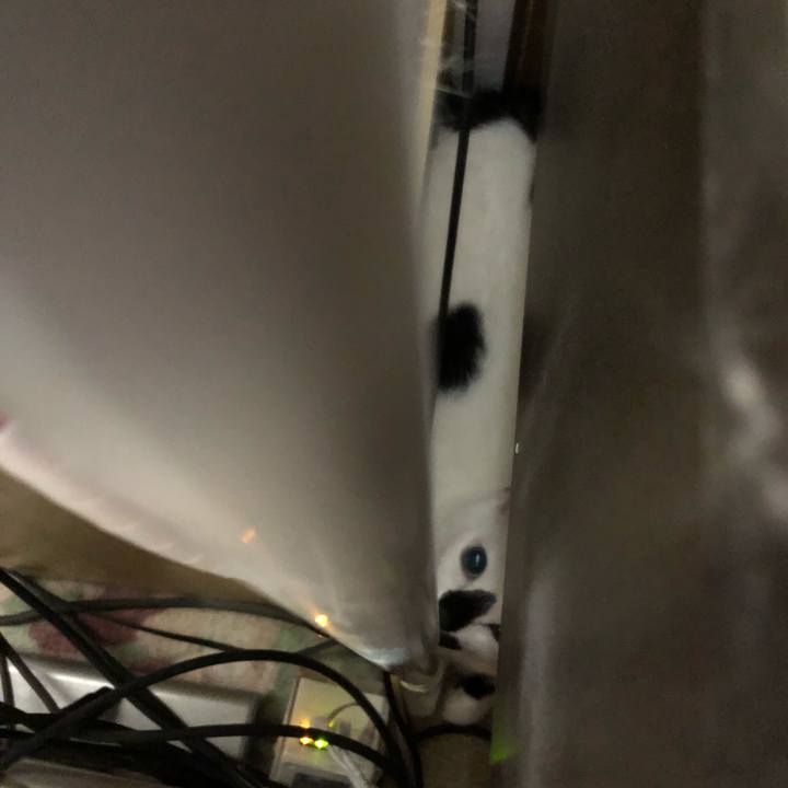 542c0192 6d50 4510 99d1 b1810fd9551a 1534162322088