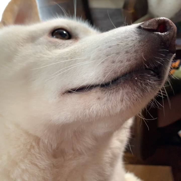 542c1f57 c7fa 4738 abab 5c625f425244 1607731695191