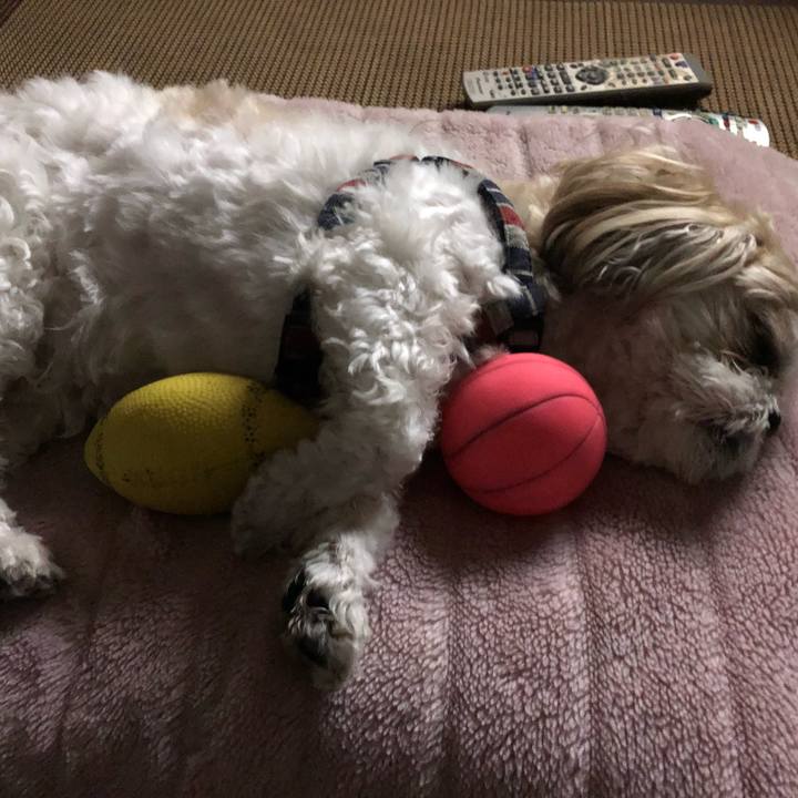 542c3c1c 8f81 4487 9b2f 35997e8537cf 1525590382358