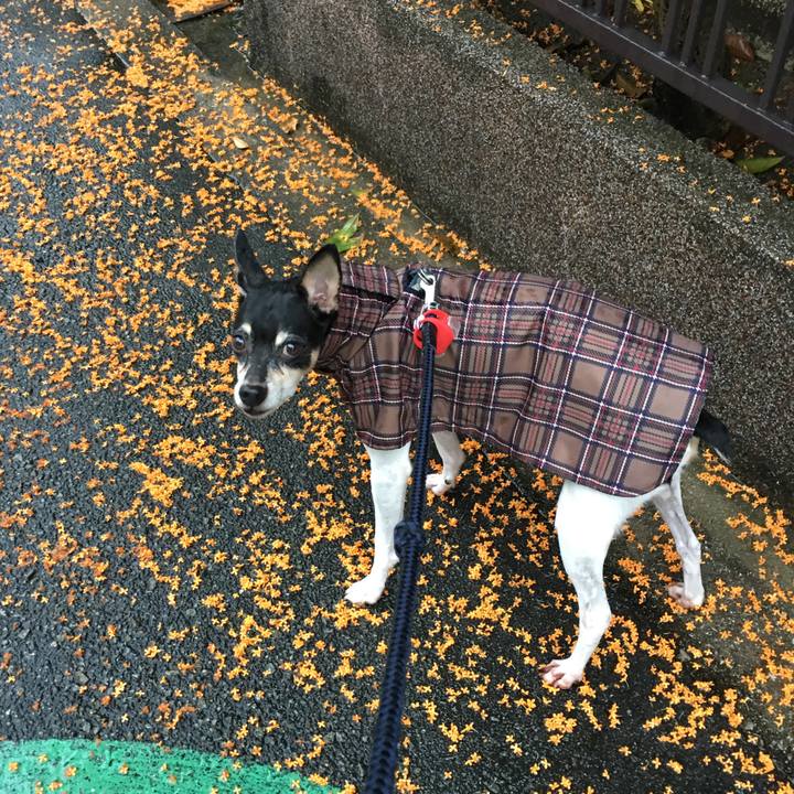 542c85bd 6f2b 46e5 8ac5 236ae3ab43b5 1508199255513