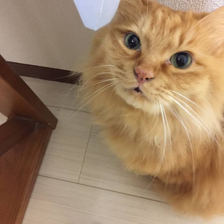 542c95f3 3b69 42e0 9036 00ef9c8c2147 1520547578121