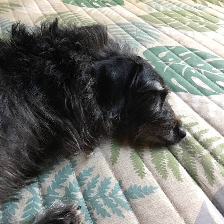 542ce34a 149c 46af a9a3 b1bc221667ac 1568068914535