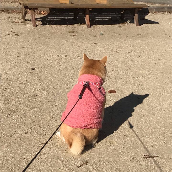 542d3c46 dc73 429c 8a51 4539d281e713 1546065830676