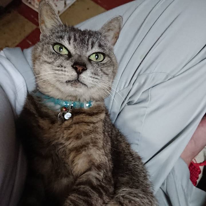 542d468a 722a 4004 a085 f40ee48433f2 1566039016107