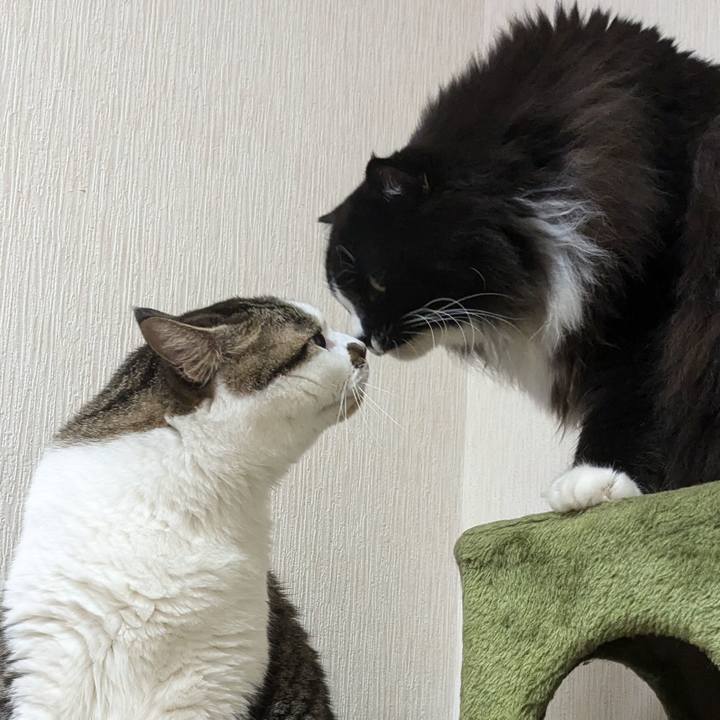 542d9d43 88f5 4778 b13d eebf5450e0a1 1724632742706