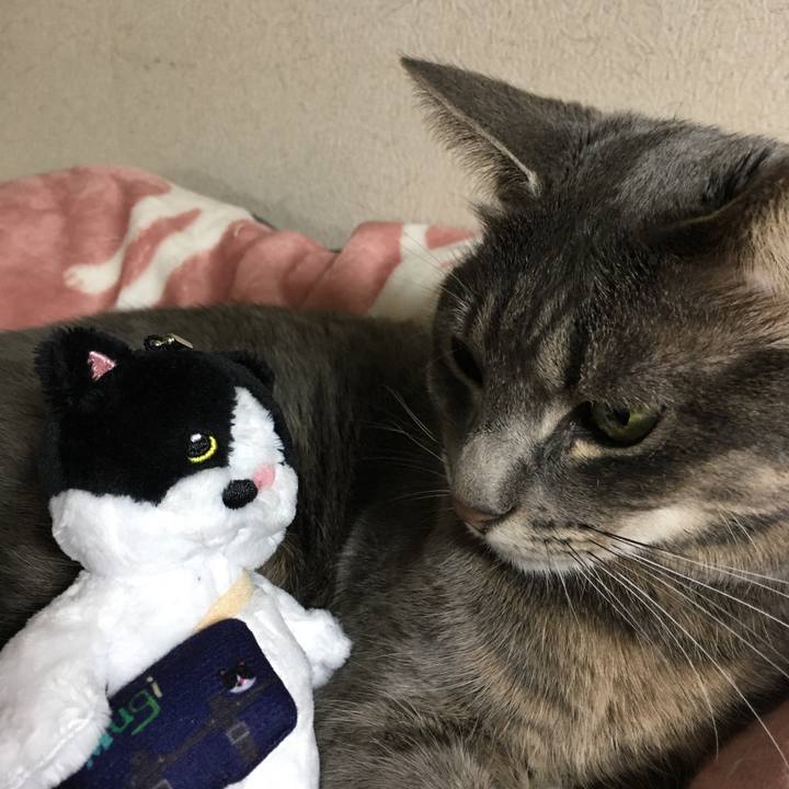 542db4cd da5e 4488 80d0 e9b8c23cdcd2 1575462020194