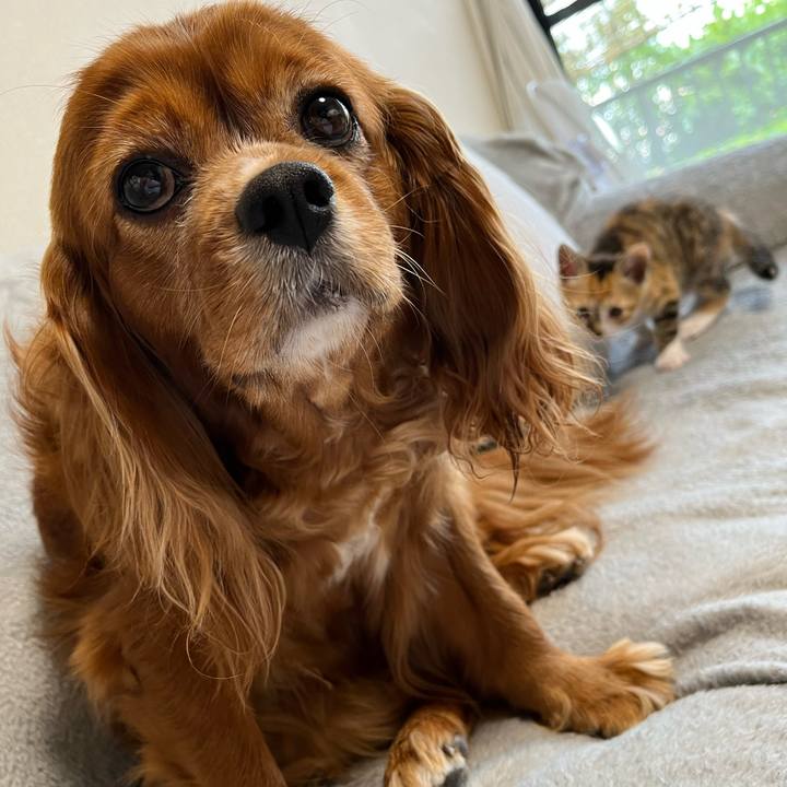 542db934 0322 4cb5 8fe1 742abb585ea8 1652048471651