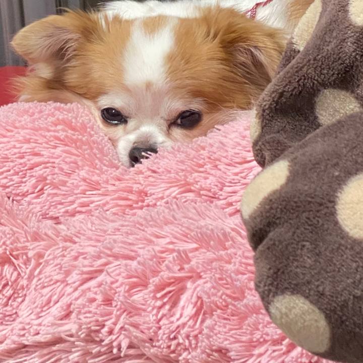 542e244e b9ff 42be 90d4 66daeddcc240 1585574748607