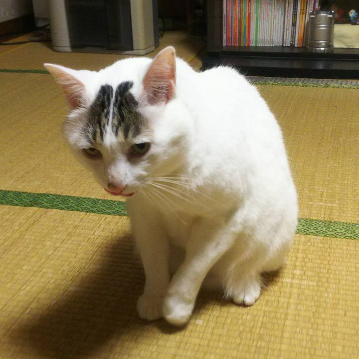 542e3f6b f0a1 4013 8515 efca8c635a3c 1541248029038