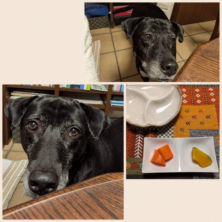 542e7ea6 aa70 41db 9716 7c0560b86faf 1737724039929