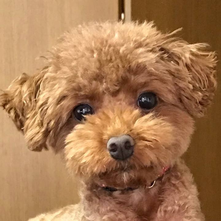 542eb2ec 7a92 4f75 8537 77181beaca00 1567296067118