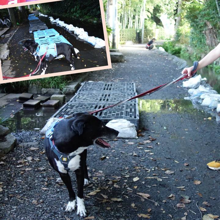 542eb3db 6a04 4b4d 9c8b f665efe8bcf0 1725668380629