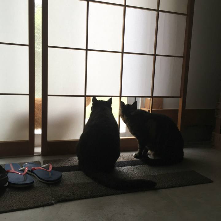 542eb444 cd20 4d33 8b01 96169d960475 1527553043969