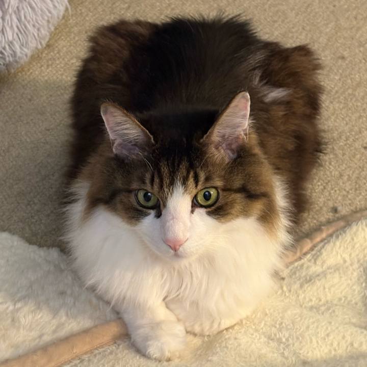 542ec8f0 4c00 42bb 8a69 d612d2615a22 1739834667586