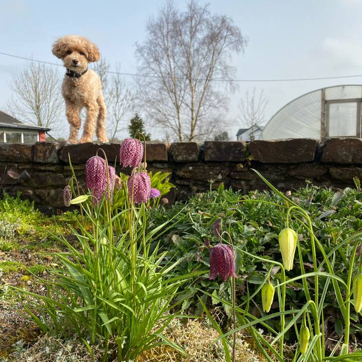 542f0374 91ec 4e1f b44c 0a7f09cfe7f2 1617270739746