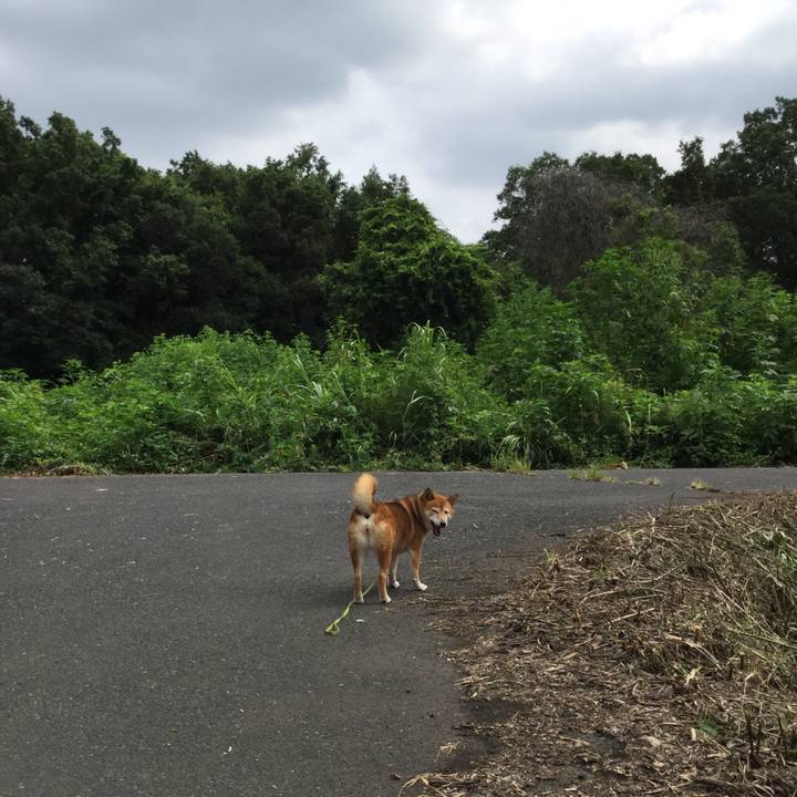 542f0906 6121 455f a361 1cdc2b5be204 1566366645311