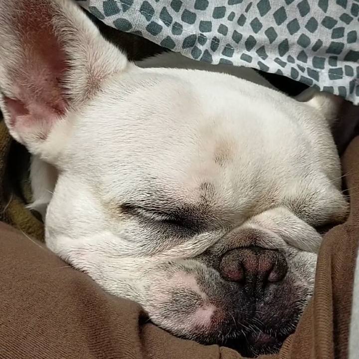 542f3d7b d580 43ce b3b2 ecb8ca595553 1665144584112