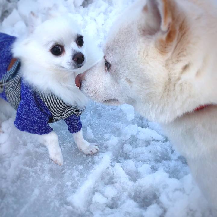 542f5303 fc52 4aa9 8fa9 2be27f2c352b 1608716491631