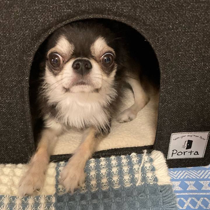 542f76b4 03a7 4f29 aa78 b093ba656097 1688834874005