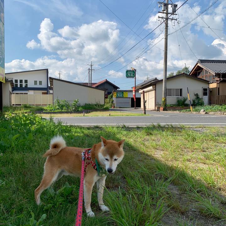 542f87dc d0ec 4f04 95e4 de3e5f5a59f9 1593428044904