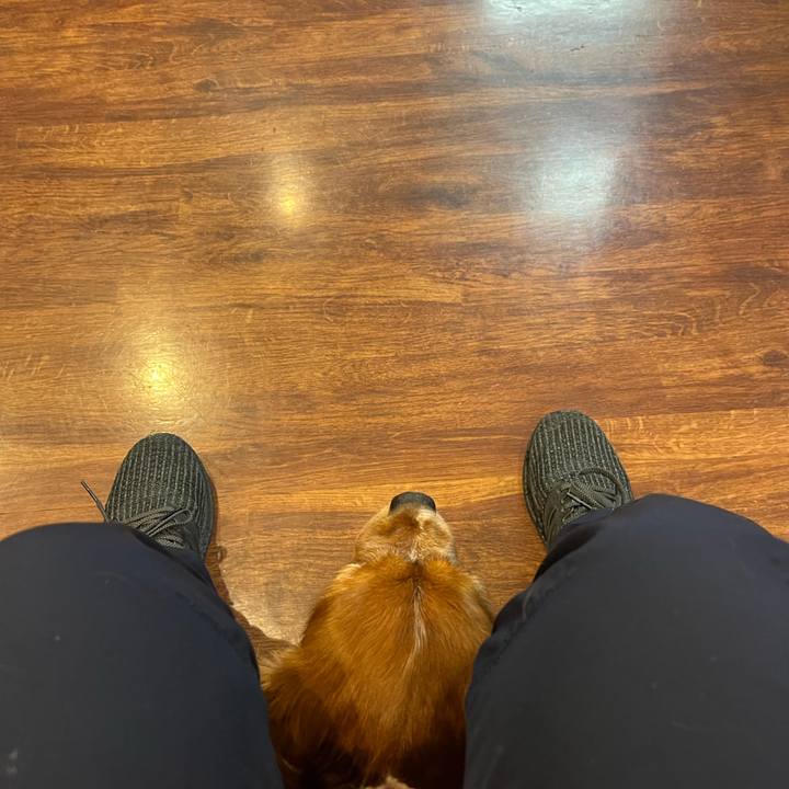 542f963d a8c9 41e3 a961 54ab8261da09 1673656436602