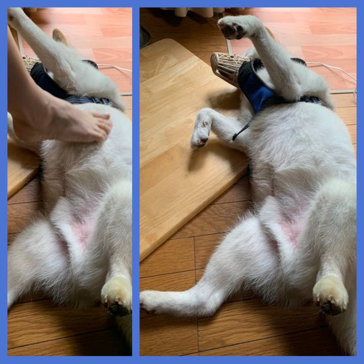 542fba73 e71b 49f6 a30e b3e2b8e6f41e 1622327045060