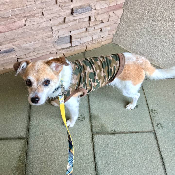 542fd178 5e98 446e 8ae2 1d336fcd023c 1657708805271