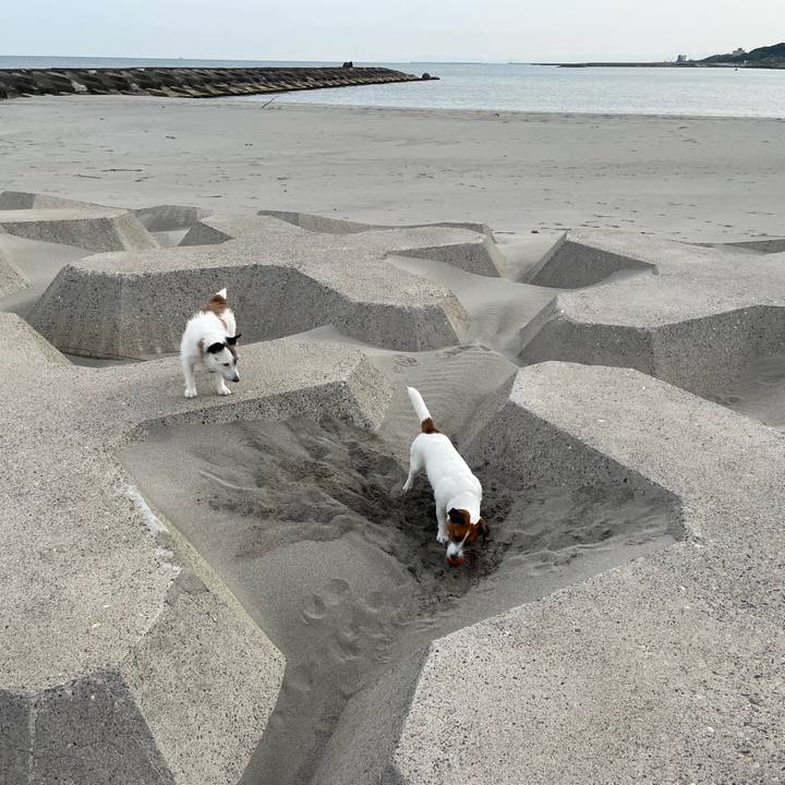 542fe96f 0992 4a6c 9e16 933bba0a0b32 1746748051652