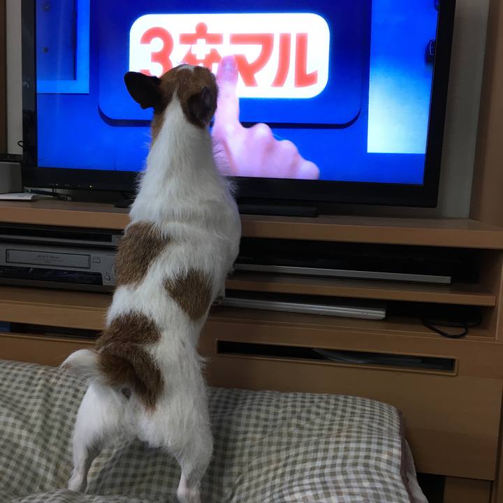 5430036b e53f 49a1 96ac ad5b4cf39169 1660863325134