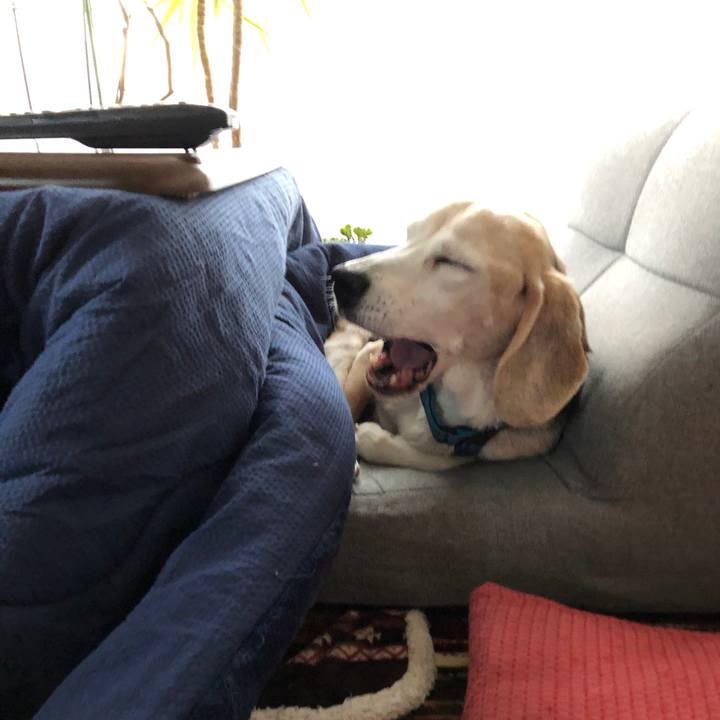 54303524 1bed 4380 b8ac c8d1ce5b3a0d 1609577245216