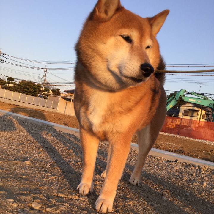 54303d01 4237 4f40 b6b7 54e6745f07cd 1613810076681