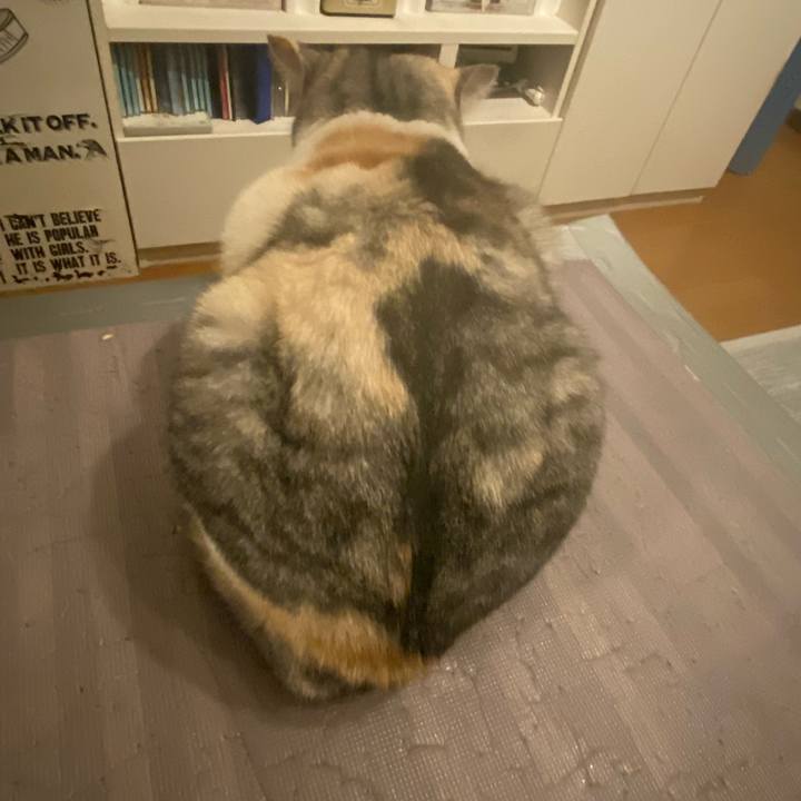 54308de2 f896 4b28 9847 1e1133c98ca2 1671900583089