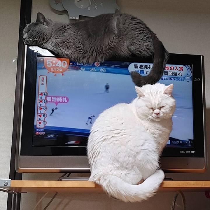 54309d6a 9a2c 4b59 a995 56c7f816f540 1645069917835