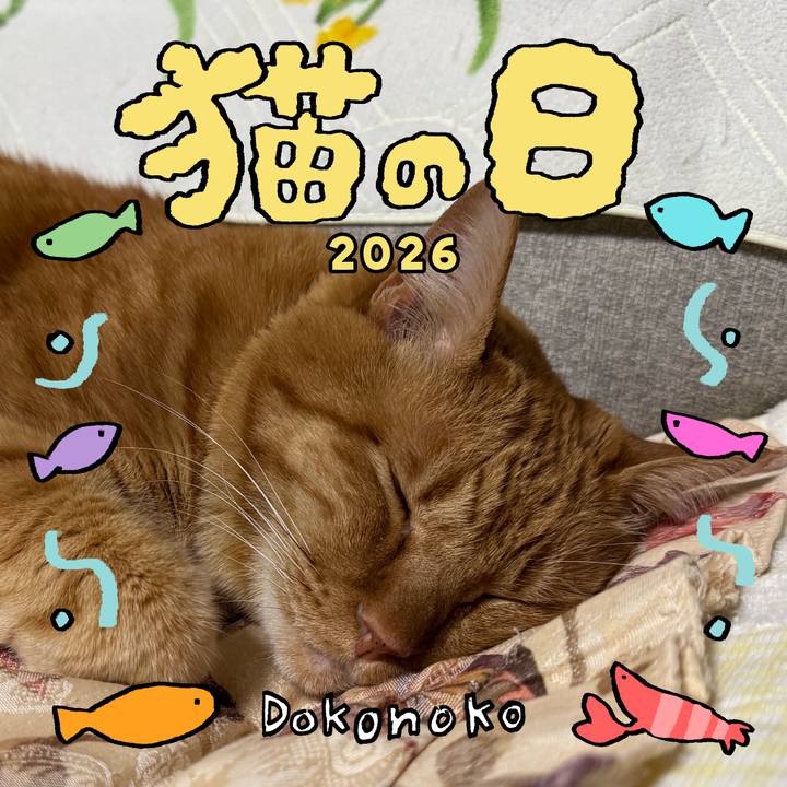 5430d167 0139 42b5 835d 58cb61f8c408 1771737571858